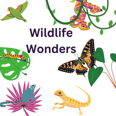 Summer Adventure Camp- Columbia Child Development Program